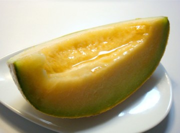 150808-melon-04