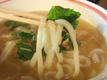 函館 大手町 ハルジョオン・ヒメジョオン 海老のオリーブオイルとバターのうどん