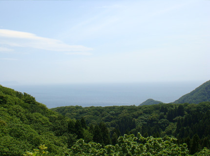 函館山　登山　旧登山道　つつじ山コース　景色
