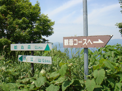 函館山　登山　旧登山道　つつじ山コース　観音コース入口