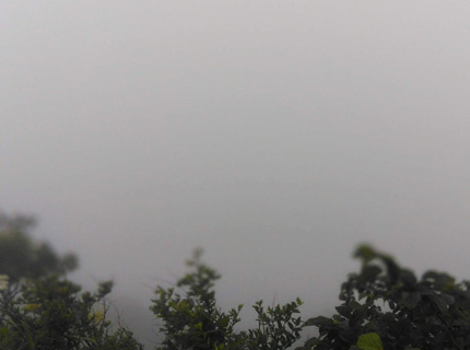 函館山　景色　霧　真っ白