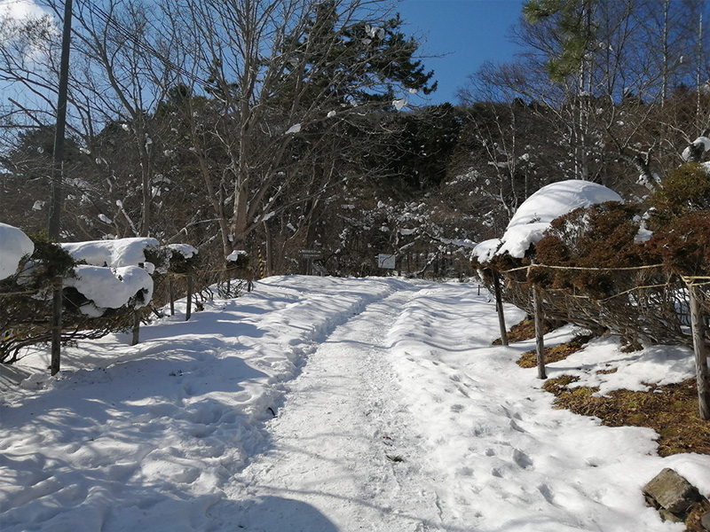 函館山　冬　登山道入口