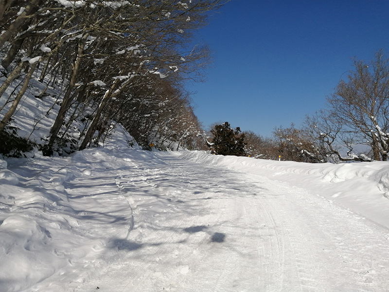 函館山　冬　車道