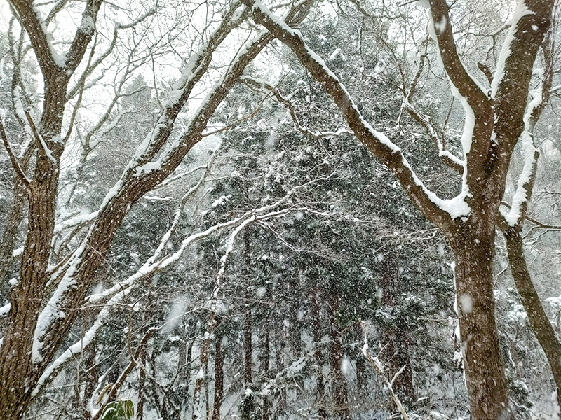 函館山登山　雪景色
