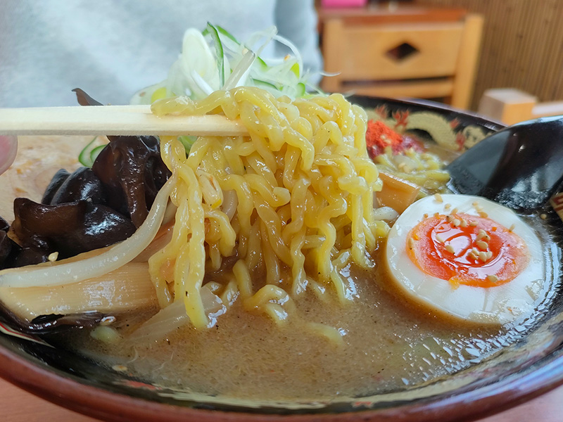 菜の花　食堂　恵山　スパイス味噌ラーメン　麺