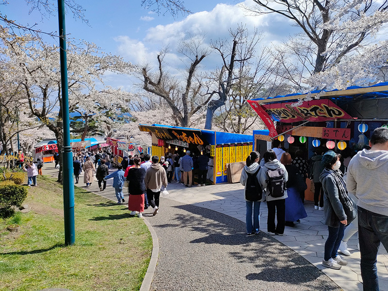 桜　花見　函館公園　屋台