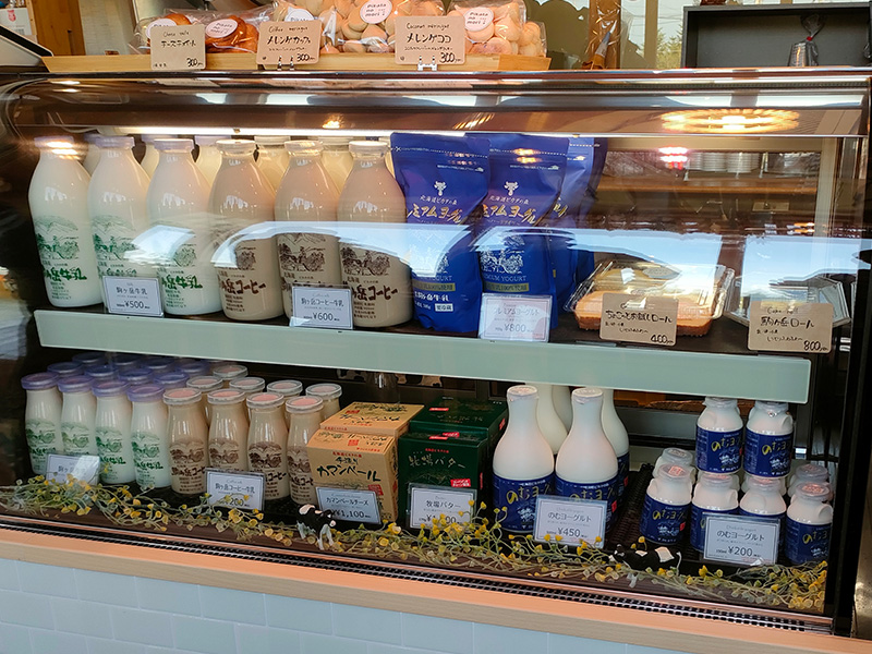 ピカタの森　アイス工房　森町　店内　牛乳　コーヒー牛乳　ヨーグルト